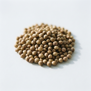 Coriander