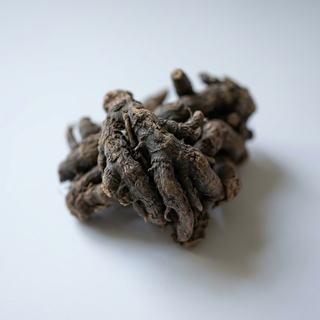 Nagarmotha