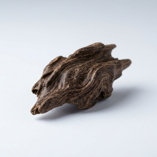 Oud